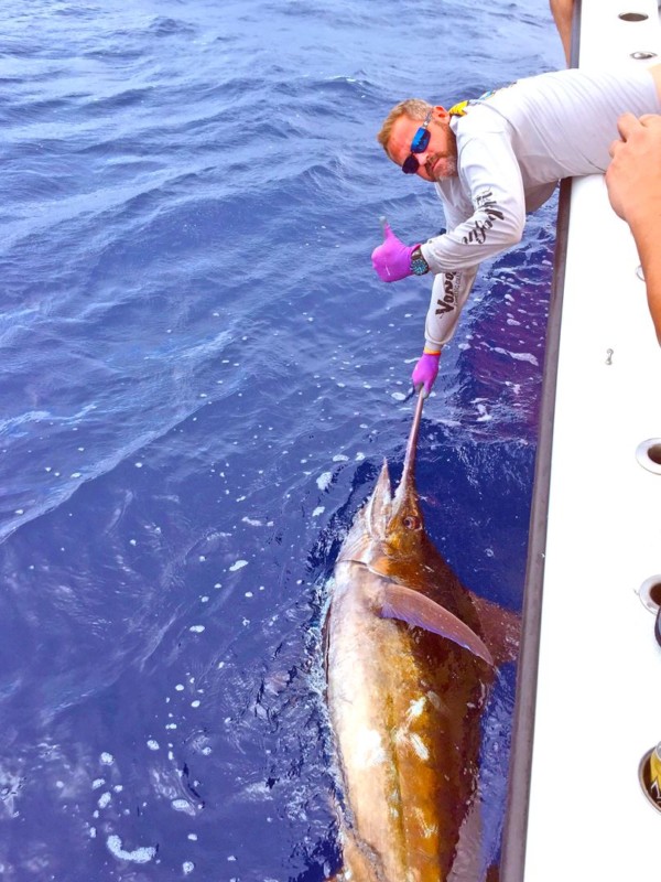 Deep Sea Offshore Gulf Of Mexico Yellowfin Tuna Fishing Charters in Venice Louisiana for Guide ...