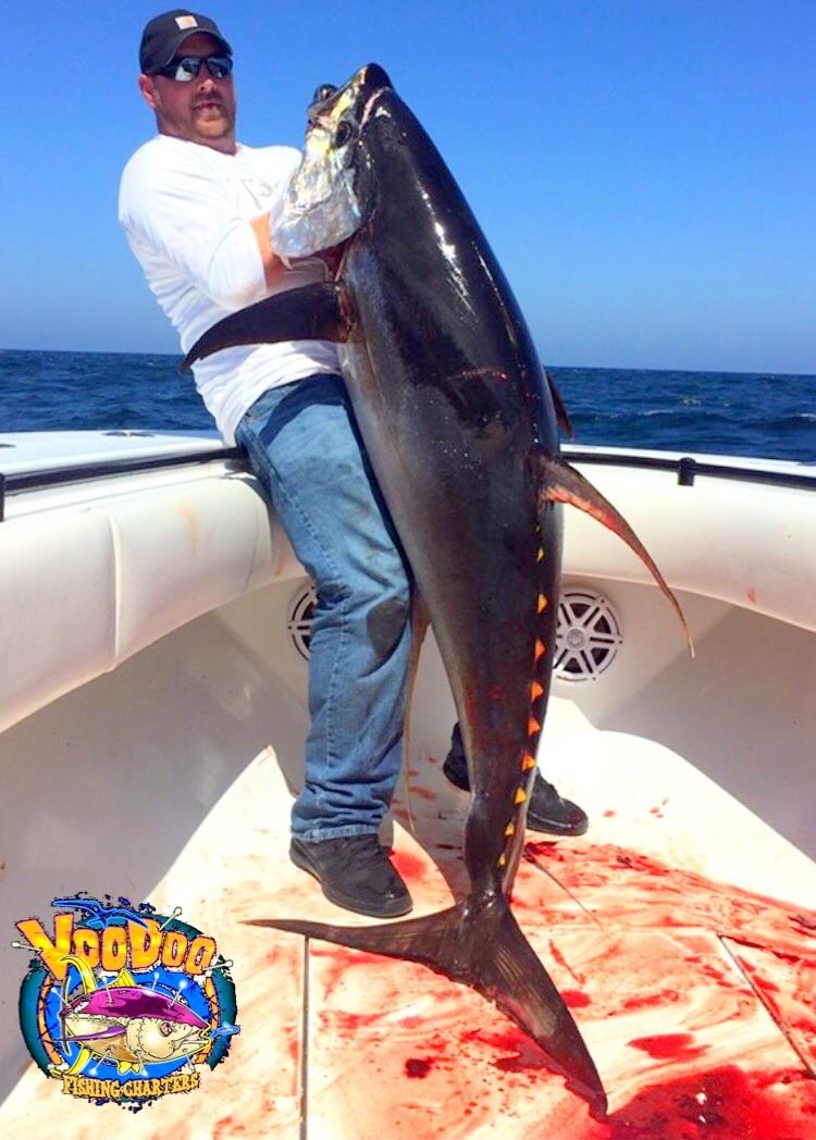 Get To Know VooDoo Fishing Charters Very Experienced Inshore