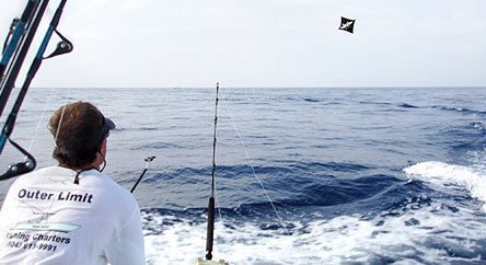 Kite Fishing Offshore Venice La in the Gulf - Deep Sea Charter
